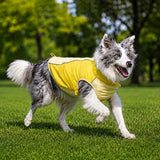 Lightweight Summer Outdoor Vest for Dogs