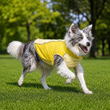 Lightweight Summer Outdoor Vest for Dogs