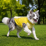 Lightweight Summer Outdoor Vest for Dogs