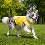 Lightweight Summer Outdoor Vest for Dogs