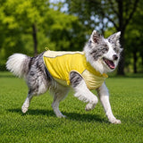 Lightweight Summer Outdoor Vest for Dogs