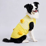 Lightweight Summer Outdoor Vest for Dogs