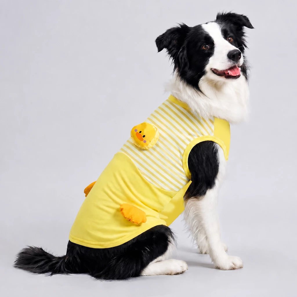 Lightweight Summer Outdoor Vest for Dogs