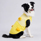 Lightweight Summer Outdoor Vest for Dogs