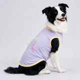 Lightweight Summer Outdoor Vest for Dogs