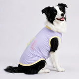 Lightweight Summer Outdoor Vest for Dogs