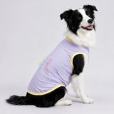 Lightweight Summer Outdoor Vest for Dogs