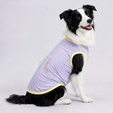 Lightweight Summer Outdoor Vest for Dogs