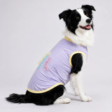 Lightweight Summer Outdoor Vest for Dogs