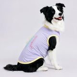 Lightweight Summer Outdoor Vest for Dogs