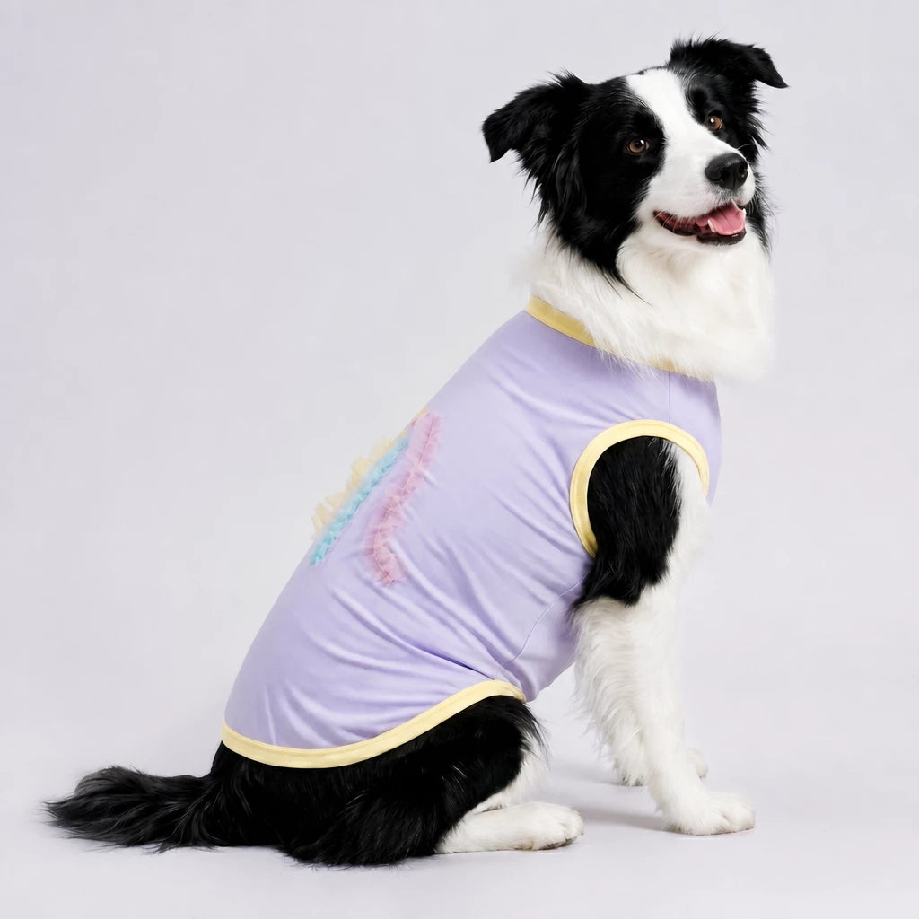 Lightweight Summer Outdoor Vest for Dogs