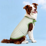 Lightweight Summer Outdoor Vest for Dogs