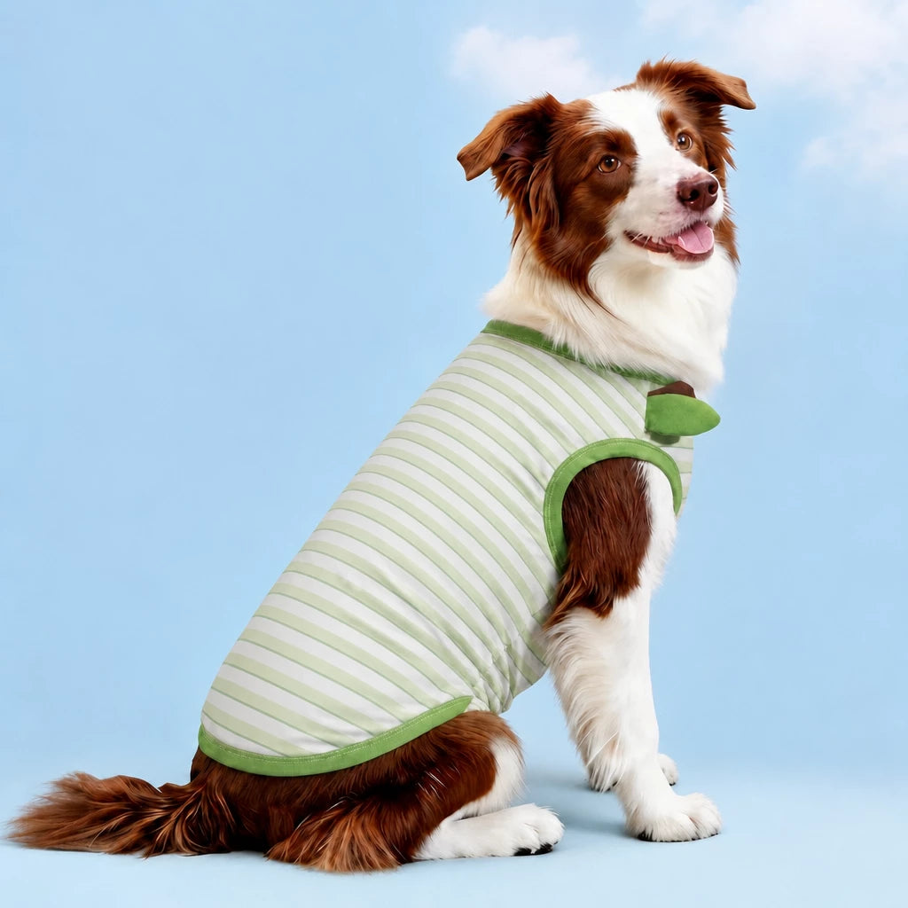 Lightweight Summer Outdoor Vest for Dogs