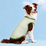 Lightweight Summer Outdoor Vest for Dogs