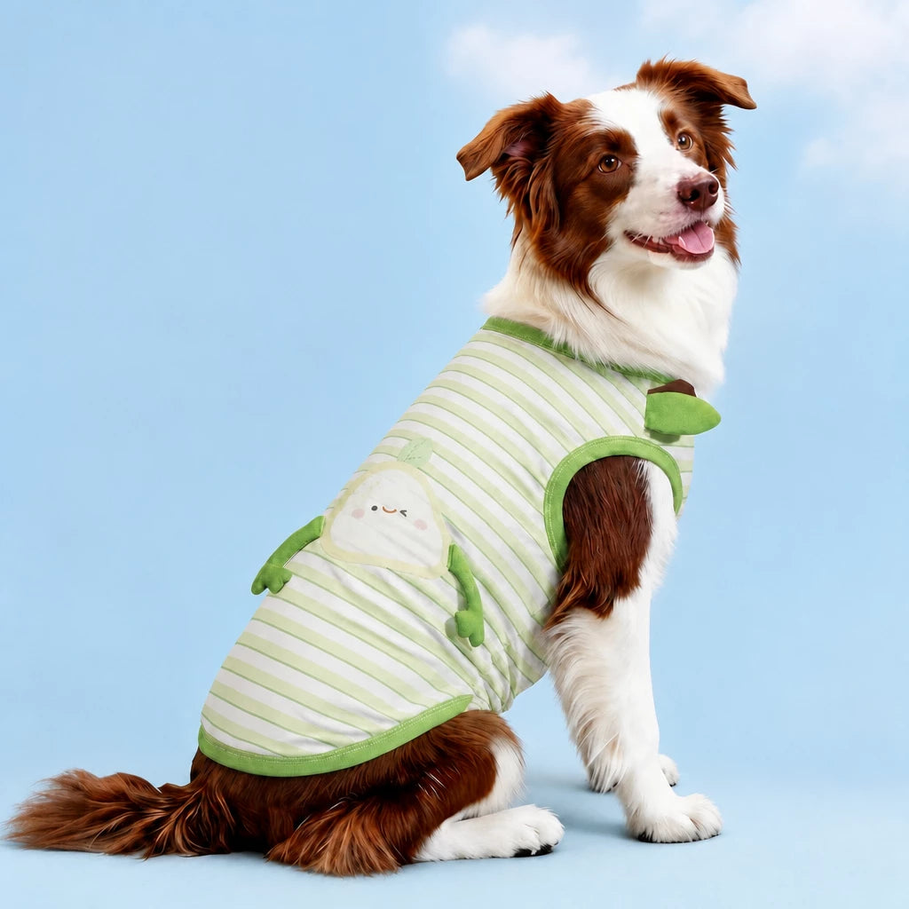 Lightweight Summer Outdoor Vest for Dogs