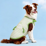 Lightweight Summer Outdoor Vest for Dogs