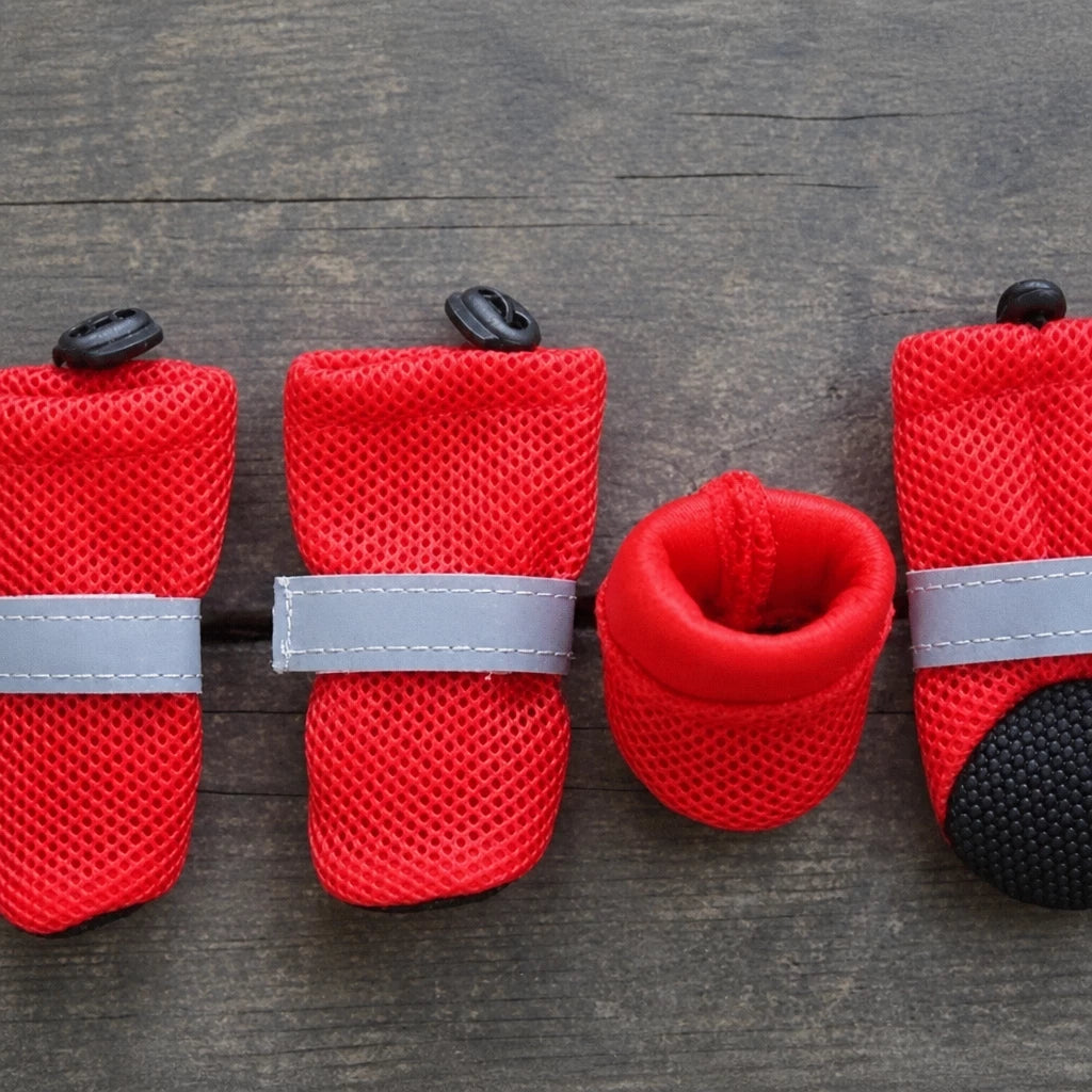 Mesh Dog Shoes with Soft Soles for Everyday Walks
