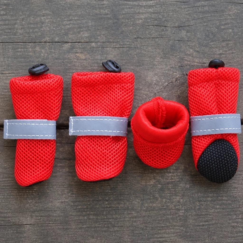 Mesh Dog Shoes with Soft Soles for Everyday Walks
