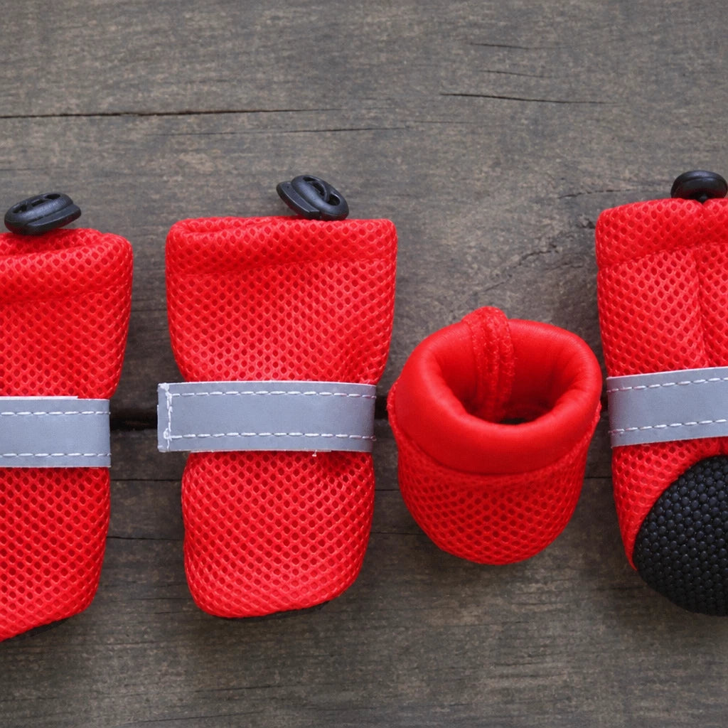 Mesh Dog Shoes with Soft Soles for Everyday Walks