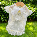 Lightweight Mesh Bow Pet Shirt with Leash Opening for Dogs & Cats