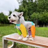 Four-Leg Dog Jumpsuit for Outdoor Wear