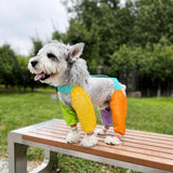 Four-Leg Dog Jumpsuit for Outdoor Wear