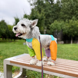 Four-Leg Dog Jumpsuit for Outdoor Wear