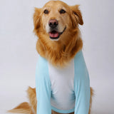 Lightweight Summer Dog Shirt for Medium to Large Breeds