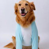 Lightweight Summer Dog Shirt for Medium to Large Breeds