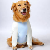 Lightweight Summer Dog Shirt for Medium to Large Breeds