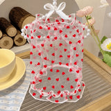 Daisy Mesh Pet Vest for Dogs and Cats