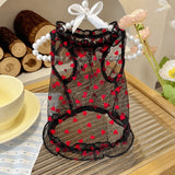 Daisy Mesh Pet Vest for Dogs and Cats
