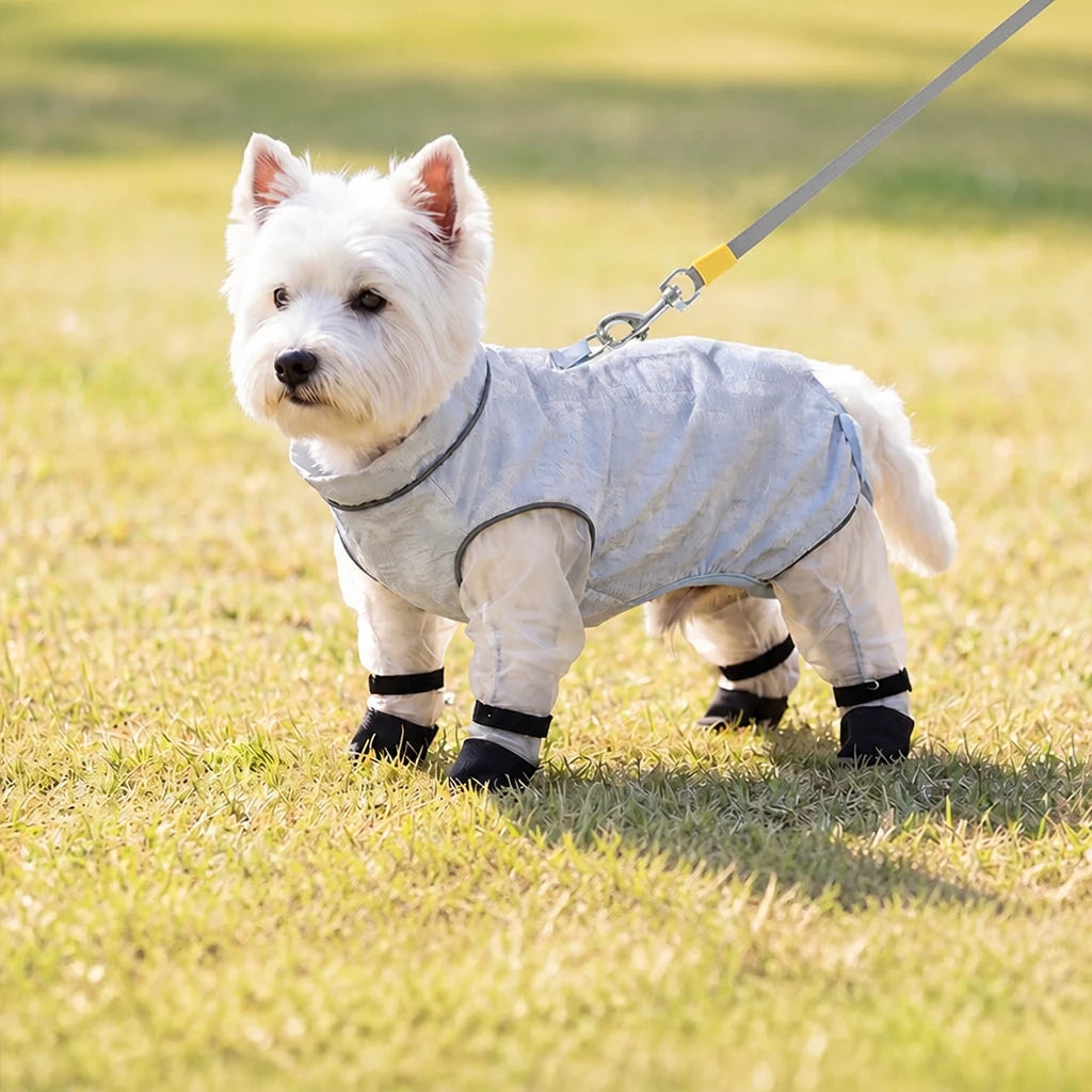 Lightweight Four-Leg Mesh Suit for Small Dogs