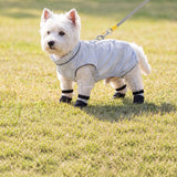 Lightweight Four-Leg Mesh Suit for Small Dogs