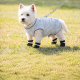 Lightweight Four-Leg Mesh Suit for Small Dogs
