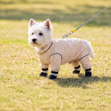 Lightweight Four-Leg Mesh Suit for Small Dogs