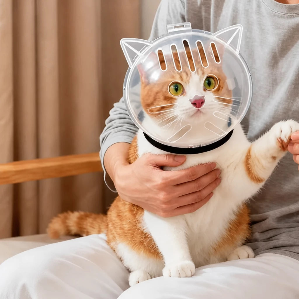 Clear Plastic Pet Recovery Cone for Cats