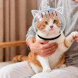 Clear Plastic Pet Recovery Cone for Cats