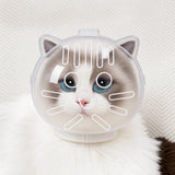 Clear Plastic Pet Recovery Cone for Cats