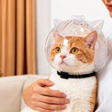 Plastic Recovery Cone for Cats During Grooming and Care
