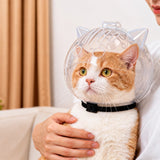 Plastic Recovery Cone for Cats During Grooming and Care