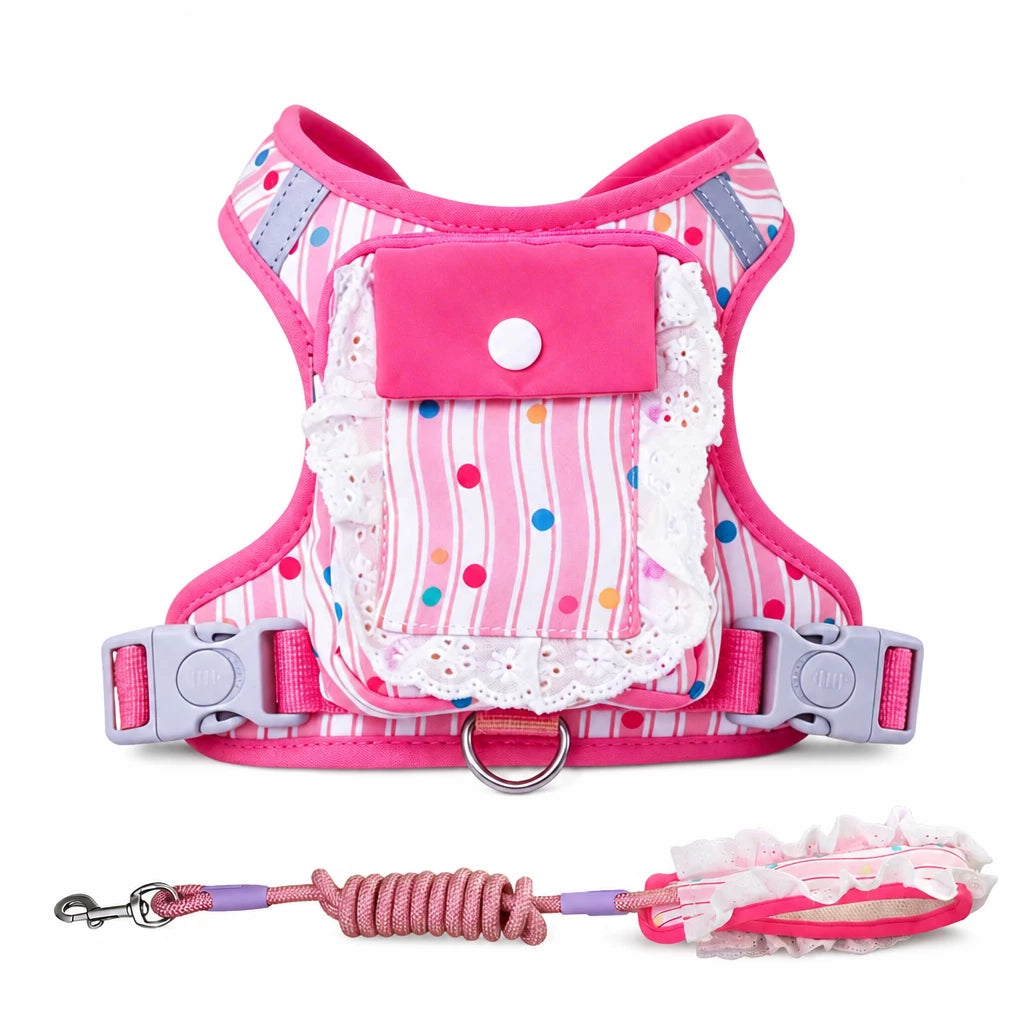 Vest-Style Harness and Leash Set for Small to Medium Dogs