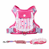 Vest-Style Harness and Leash Set for Small to Medium Dogs