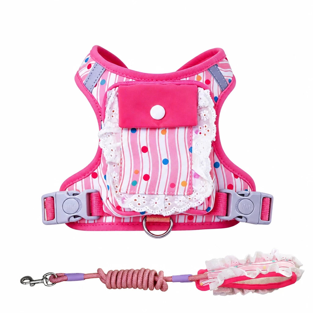Vest-Style Harness and Leash Set for Small to Medium Dogs