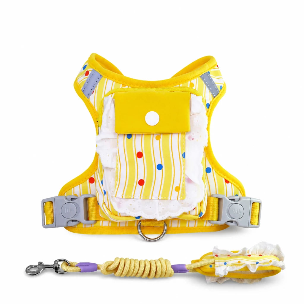 Vest-Style Harness and Leash Set for Small to Medium Dogs