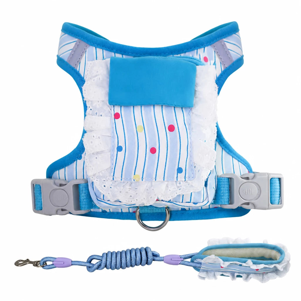 Vest-Style Harness and Leash Set for Small to Medium Dogs