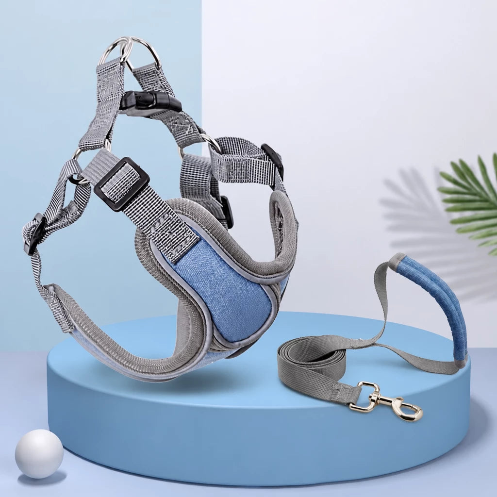 Dog Harness and Leash Set for Small to Medium Dogs