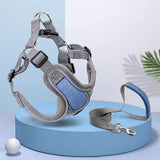 Dog Harness and Leash Set for Small to Medium Dogs