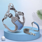 Dog Harness and Leash Set for Small to Medium Dogs