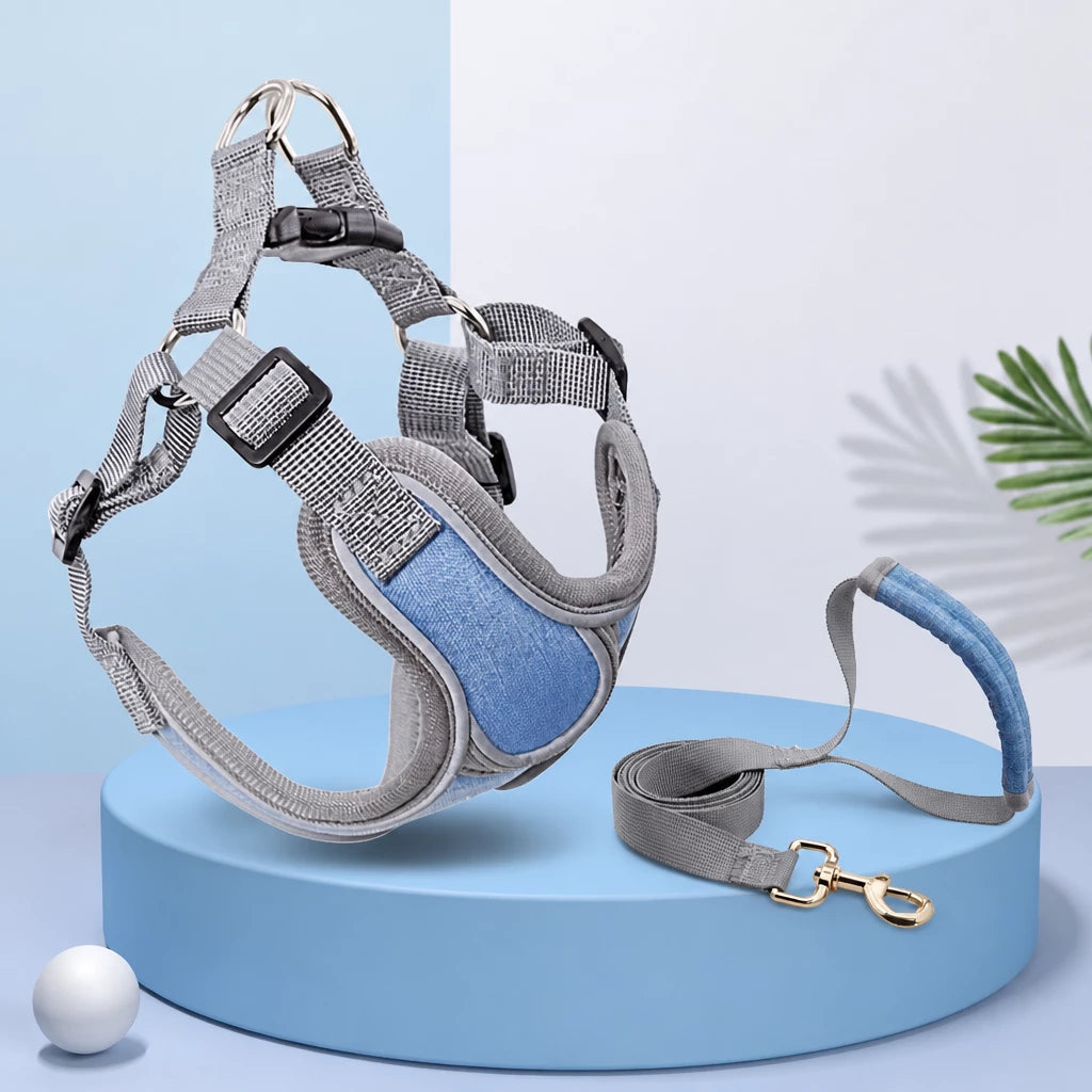 Dog Harness and Leash Set for Small to Medium Dogs